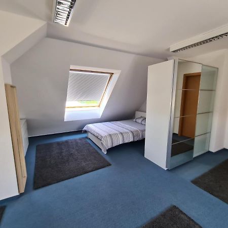 6 Bedroom Private Apartment & Lounge Rostock Bagian luar foto